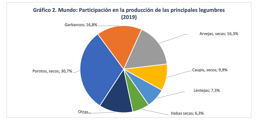 Poroto legumbre cultivo