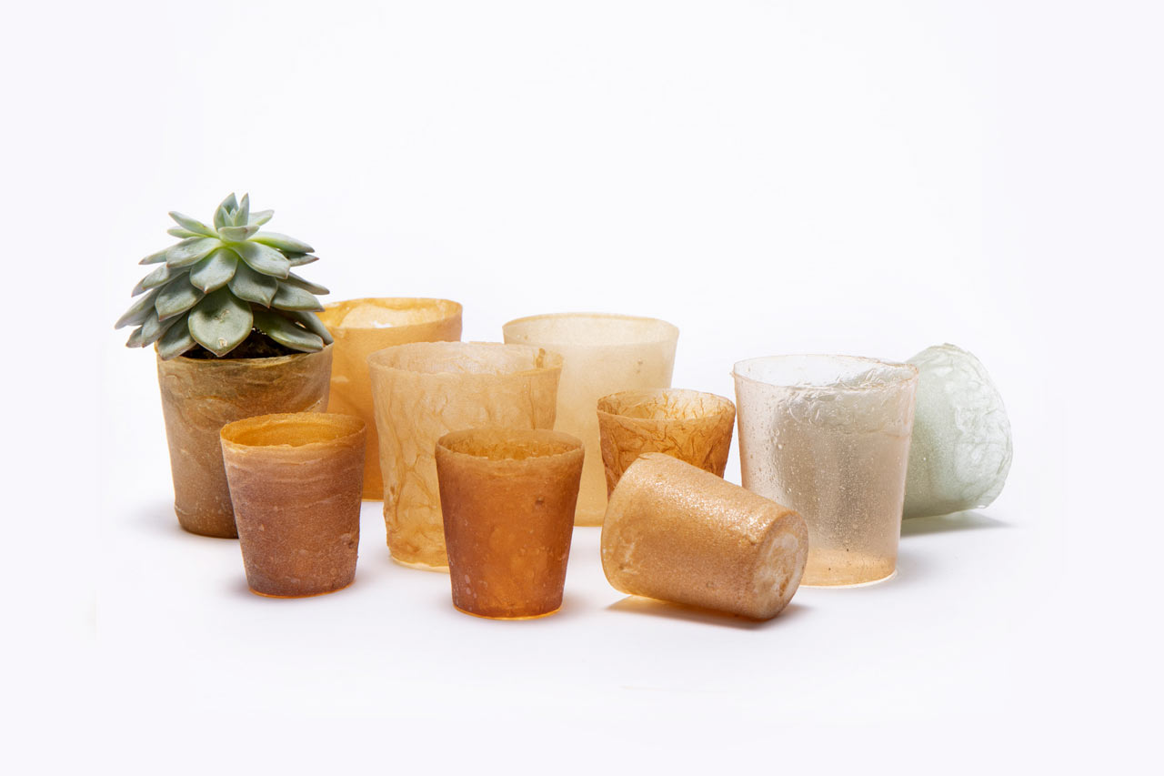 biopolímeros bioplásticos plástico materiales química ciencia