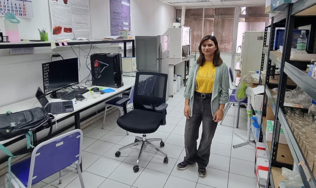 cobre cosecha energía solar sol universidad tarapacá sapana jadoun arica química minería